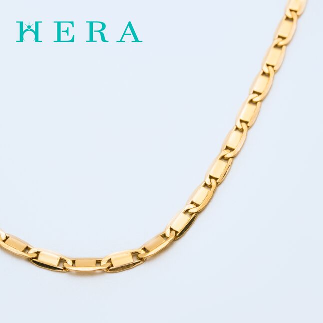 Монет гинж /Хавтгай хэлхээ/