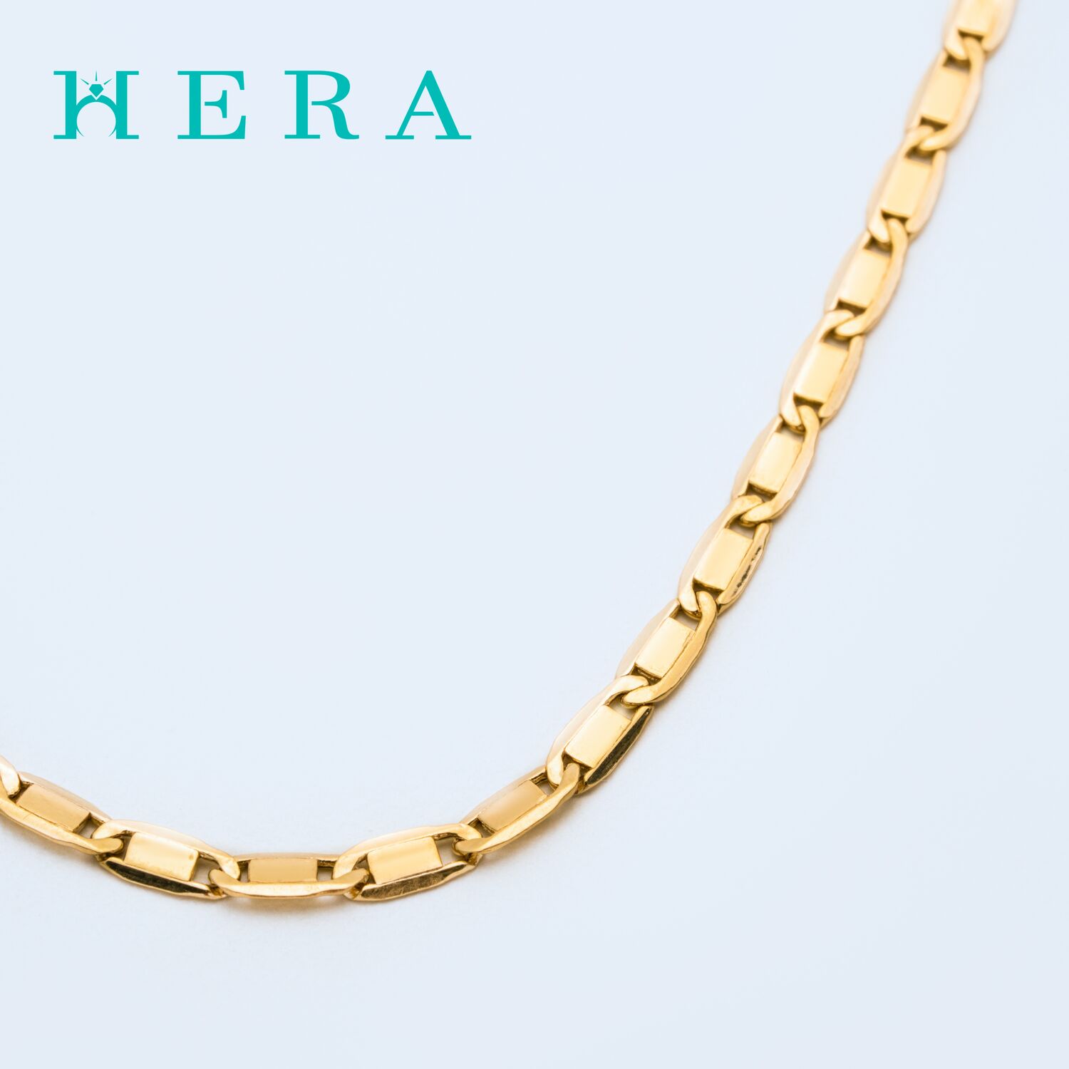 Монет гинж /Хавтгай хэлхээ/