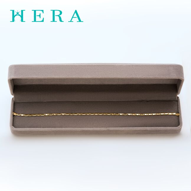 Монет гинж /Хавтгай хэлхээ/