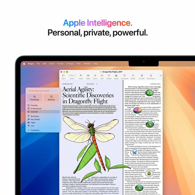 Macbook Air M4 chip 16GB 256GB SSD 13" Liquid Retina Sky Blue Used