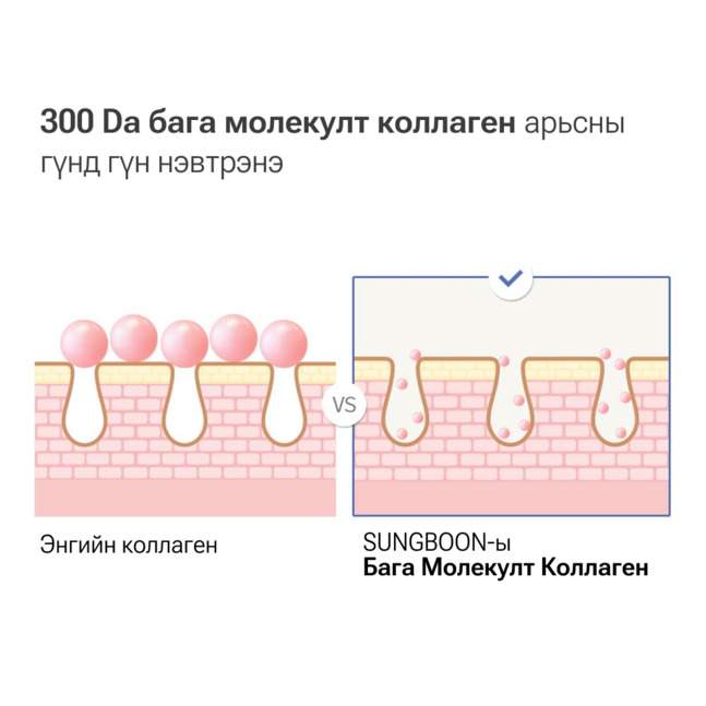 Sungboon Editor Deep Collagen Anti-wrinkle Cream In Serum