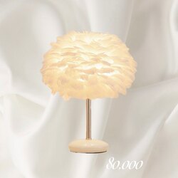 Керамик өдөн гэрэл