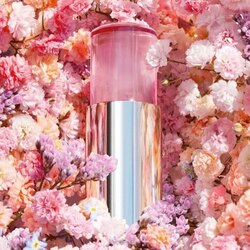 Dior toson surchig