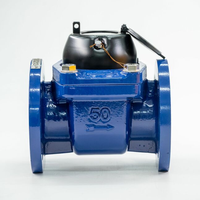 LXLG-50 Хүйтэн усны тоолуур