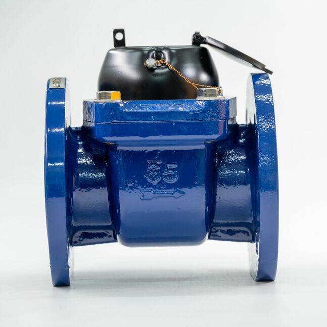 LXLG-65 Хүйтэн усны тоолуур