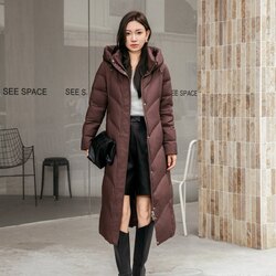 Өвлийн сөдөн куртик