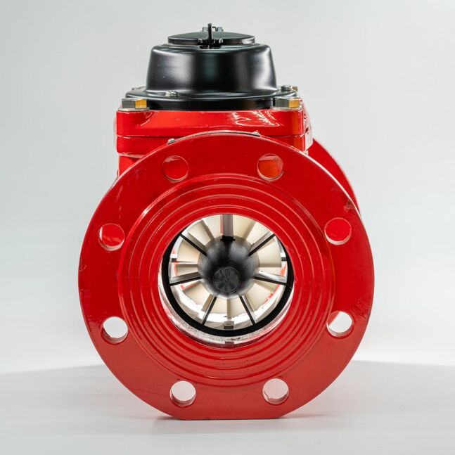 LXLGR-100 Халуун усны тоолуур