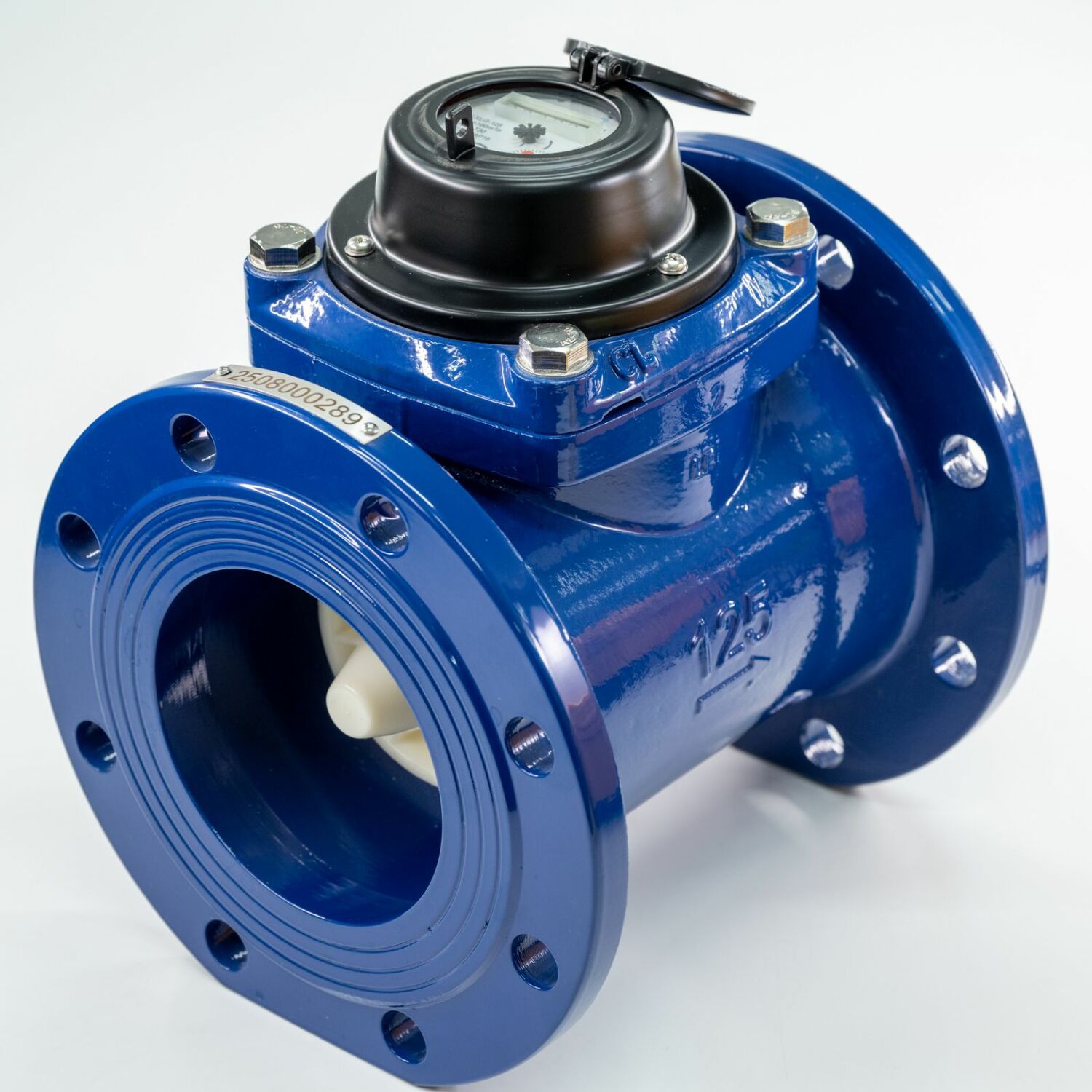 LXLG-125 Хүйтэн усны тоолуур