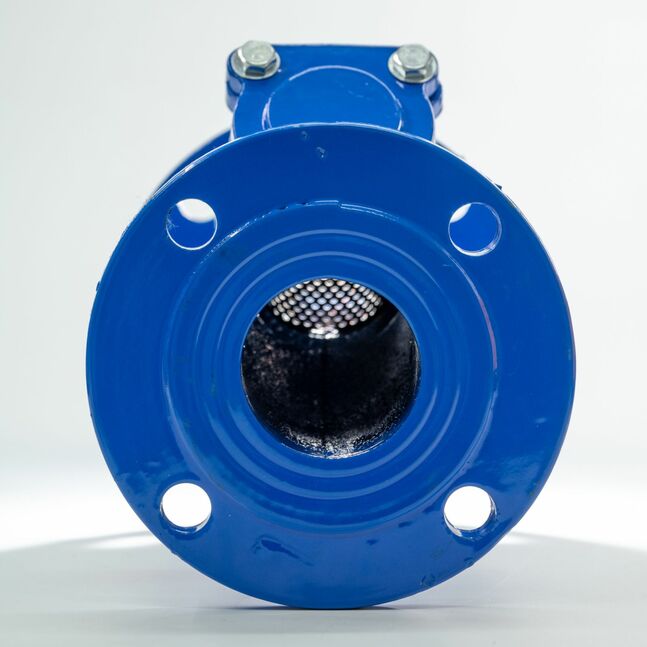 D=65 Хог шүүгч