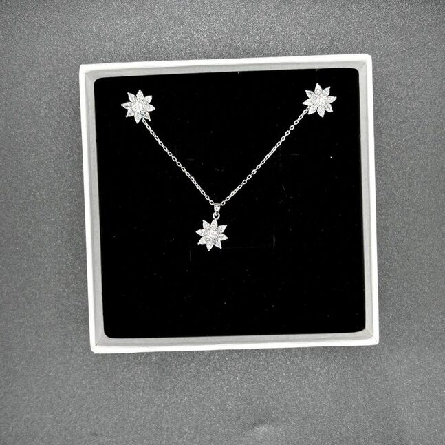 Мөнгөн хослол 925