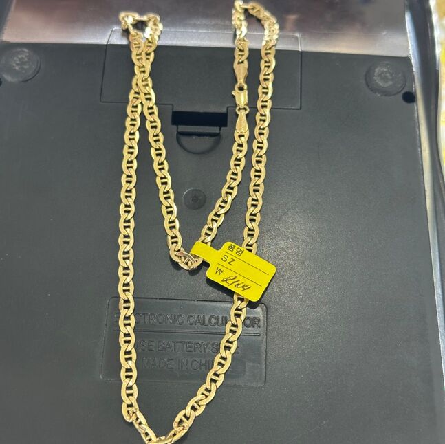 Монеиан гинж