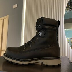 Cat caterpillar black