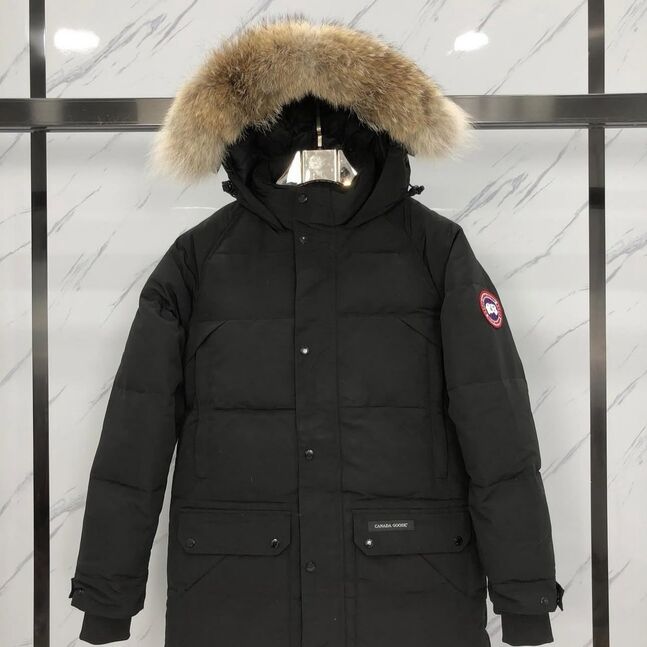 Эрэгтэй canada goose