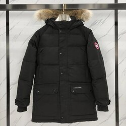 Эрэгтэй canada goose