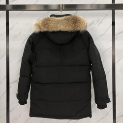 Эрэгтэй canada goose