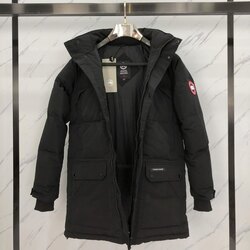 Эрэгтэй canada goose