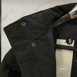 Эрэгтэй canada goose