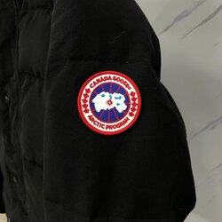 Эрэгтэй canada goose