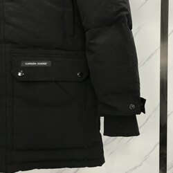 Эрэгтэй canada goose