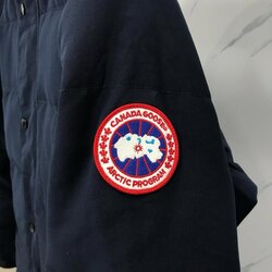 Canda goose эрэгтэй