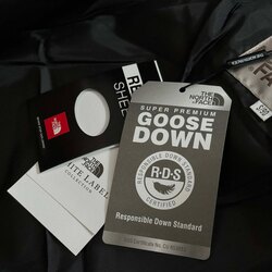 -40 хэмийн урт сайн күртик