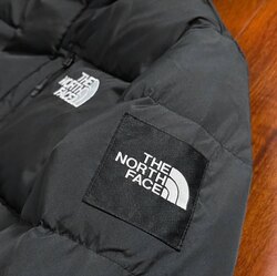 -40 хэмийн урт сайн күртик