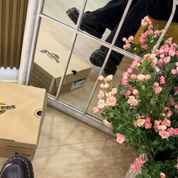 Dr martens jadon burgundy