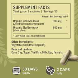 Herbamama sea moss bladderwrack