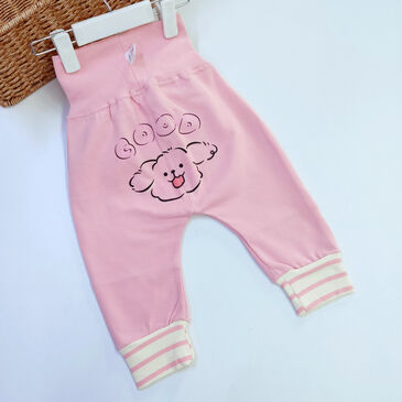 Дүрстэй өмд гэдэстэй нохой