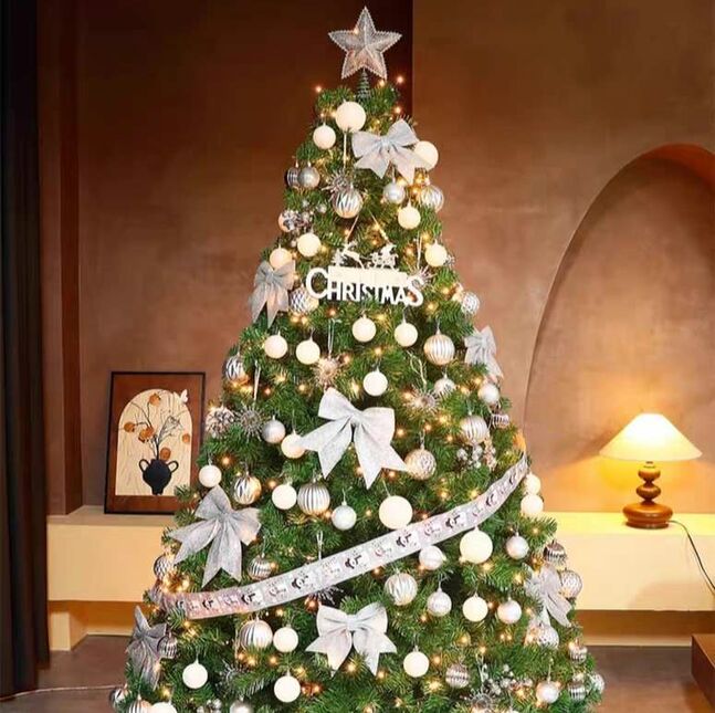 Гацуур мод🎄