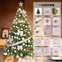 Гацуур мод🎄