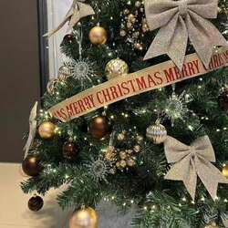 Гацуур мод🎄