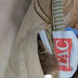 Тэмээний ноосон хөнжил