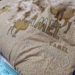 Тэмээний ноосон хөнжил