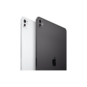 iPad Pro M4 chip 13'' Wifi 256GB Space Black