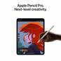 iPad Pro M4 chip 11'' Wifi 256GB Space Black with Standard Glass