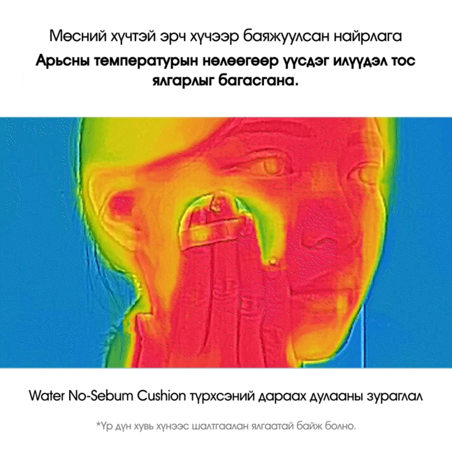 Parnell Glacial Biome Water No-Sebum Cushion