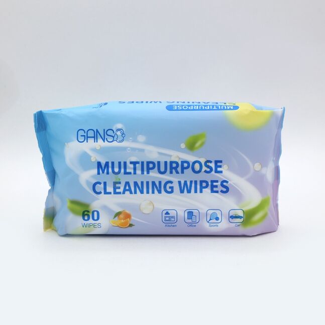GANSO Олон үйлдэлт Бактерийн Эсрэг Салфетка (45г 20смх15см) №60