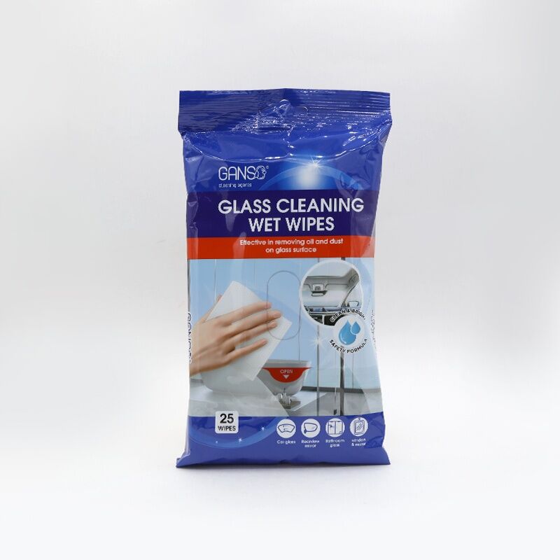 GANSO Шил Цэвэрлэгч Салфетка (18см х 21см 45г) №25