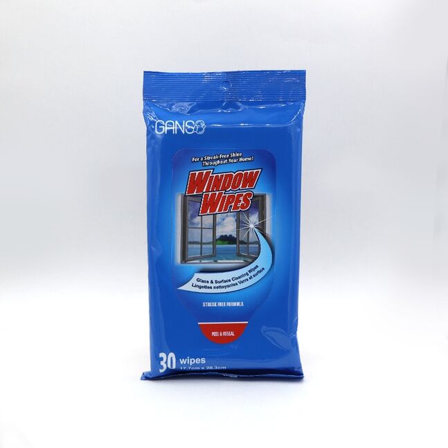 GANSO Цонх цэвэрлэх нойтон салфетка (17.7х20.3) №30