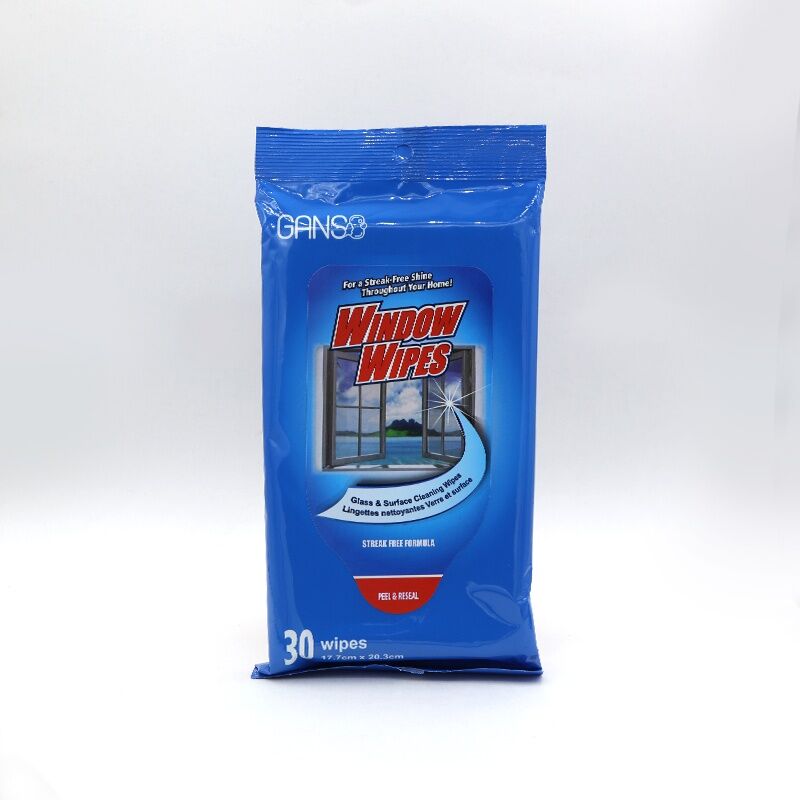 GANSO Цонх цэвэрлэх нойтон салфетка (17.7х20.3) №30