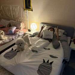 Яаанаа ийм хөөрхөн тоторо гудас
