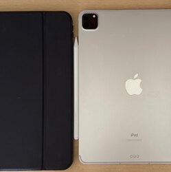 Ipad pro зарна