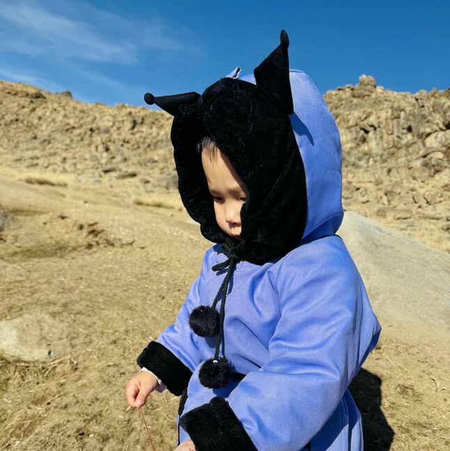 Куроми дээл