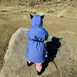 Куроми дээл