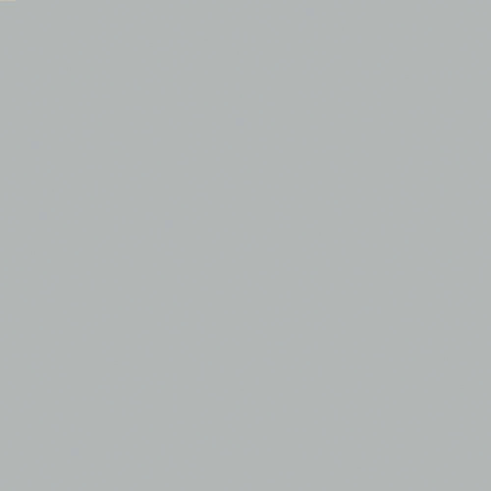 U267 Neutral Gray