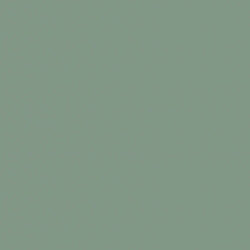 U5565 Mint green /Soft Matt/