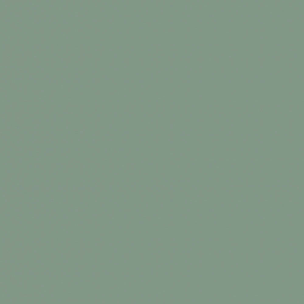 U5565 Mint green /Soft Matt/