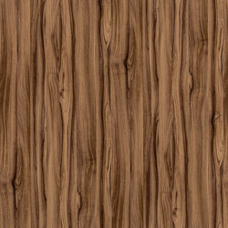 H7568 Navarro Walnut Wood /Evo Gloss/