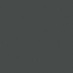 U447 Ant Gray /Evo Gloss/